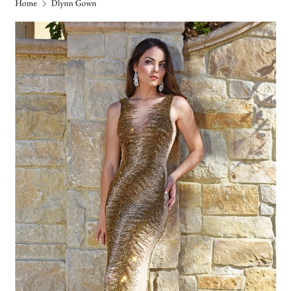 Sleeveless, bronze-beaded/embellished formal gown with small train. -  threedaughtersproperties.com